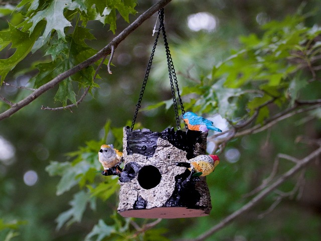 Amazon.com : Spoontiques - Birdhouse - Garden Décor - Decorative